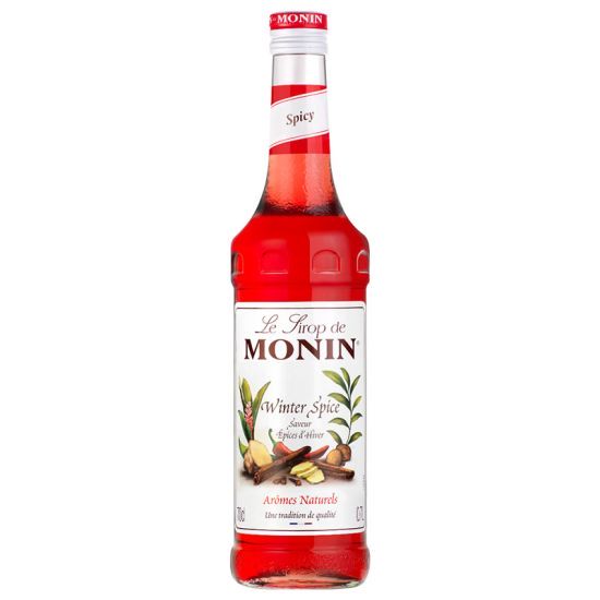 MONIN Winter Spice