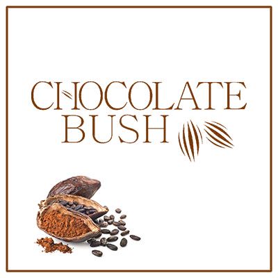 Manufaktura Chocolate Bush